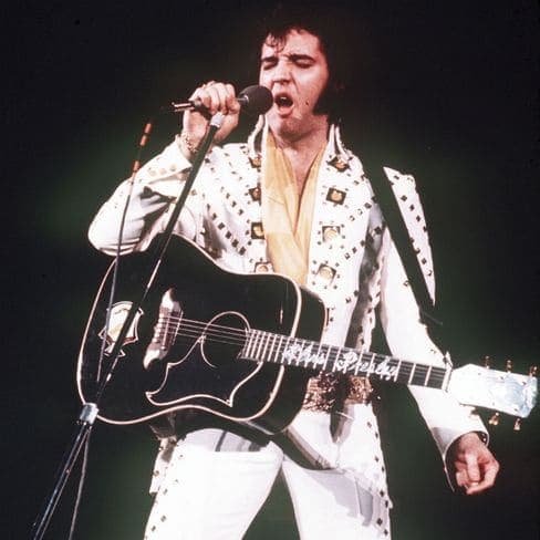Elvis Presley in concert
